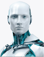 rob